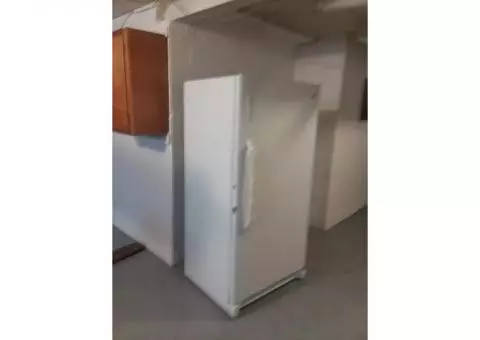 GE freezer